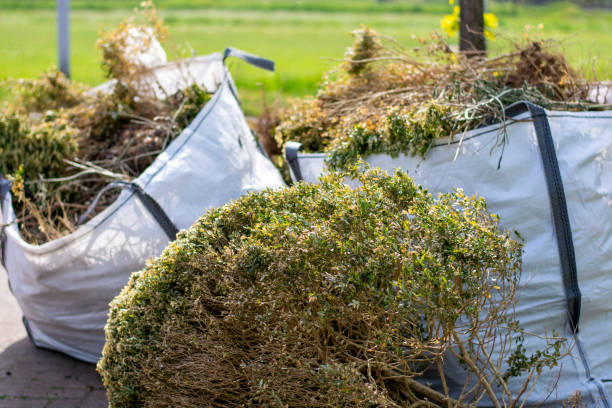 Reliable Centerville, CA Junk Removal Solutions